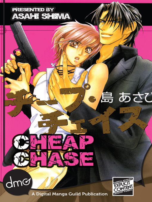 Cover image for Cheap Chase